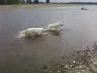 Balade en bord de Loire