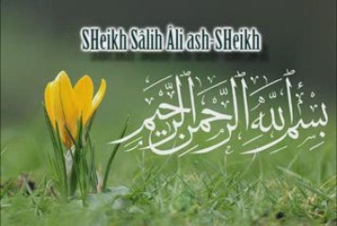 Cheikh Saleh Ibn Abdelaziz Al-Shaykh ( L'Union en Islam )