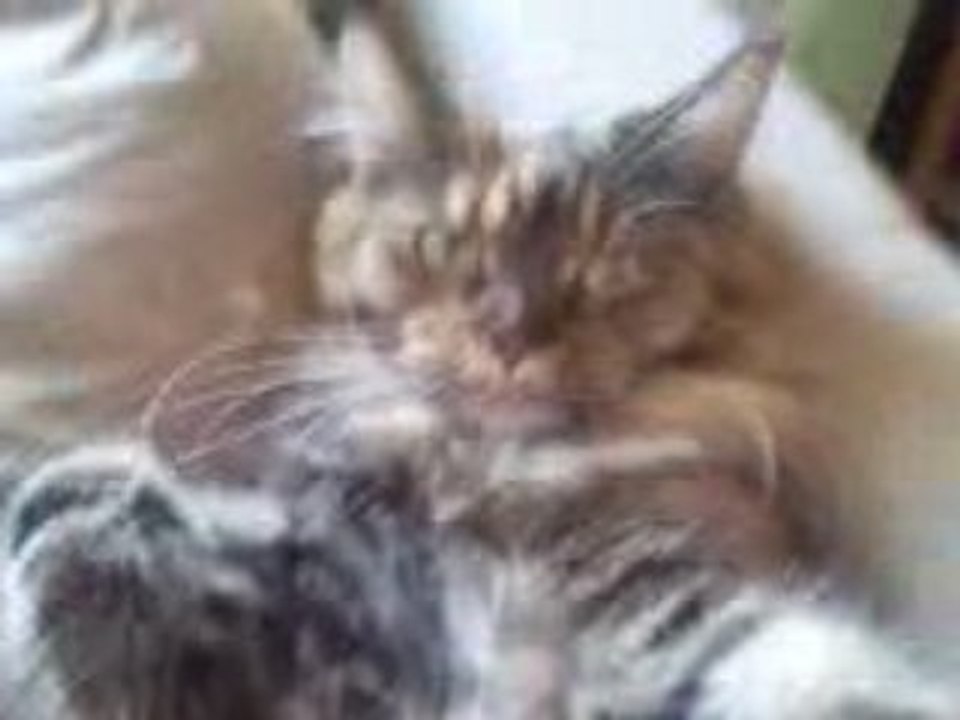Vidéo0024