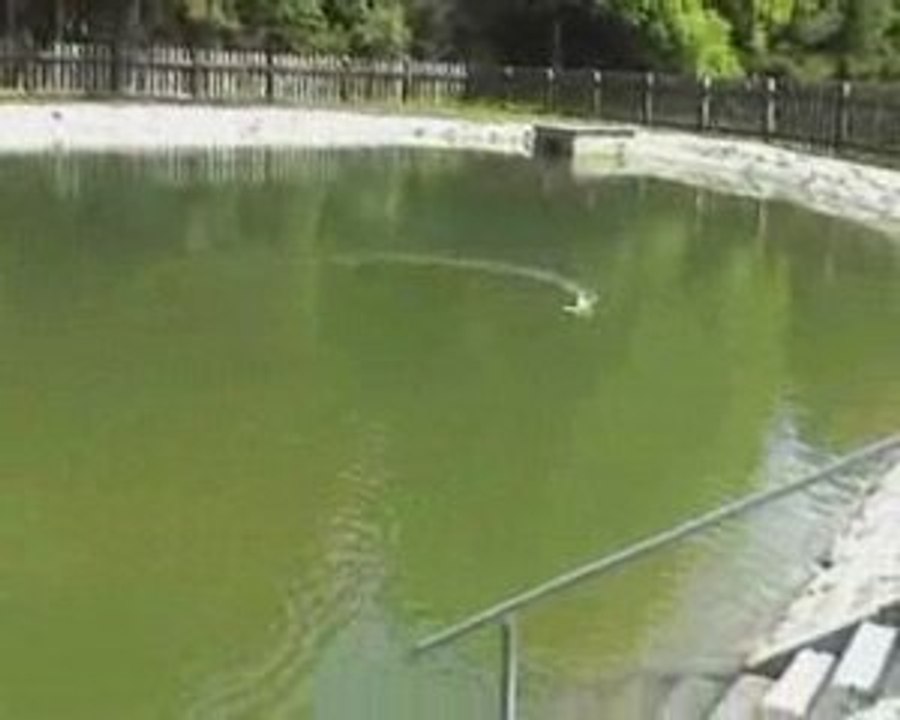 mini Z boat F1 boosté