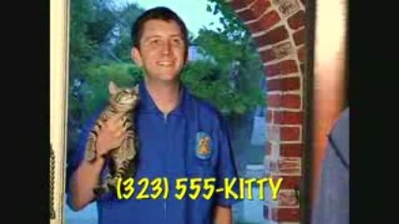 You want to change kitten?