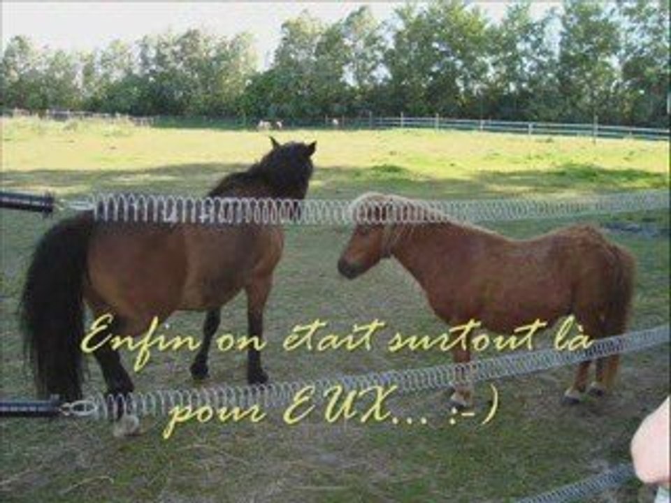 Journées Portes Ouvertes Crinières Yser mai 2009