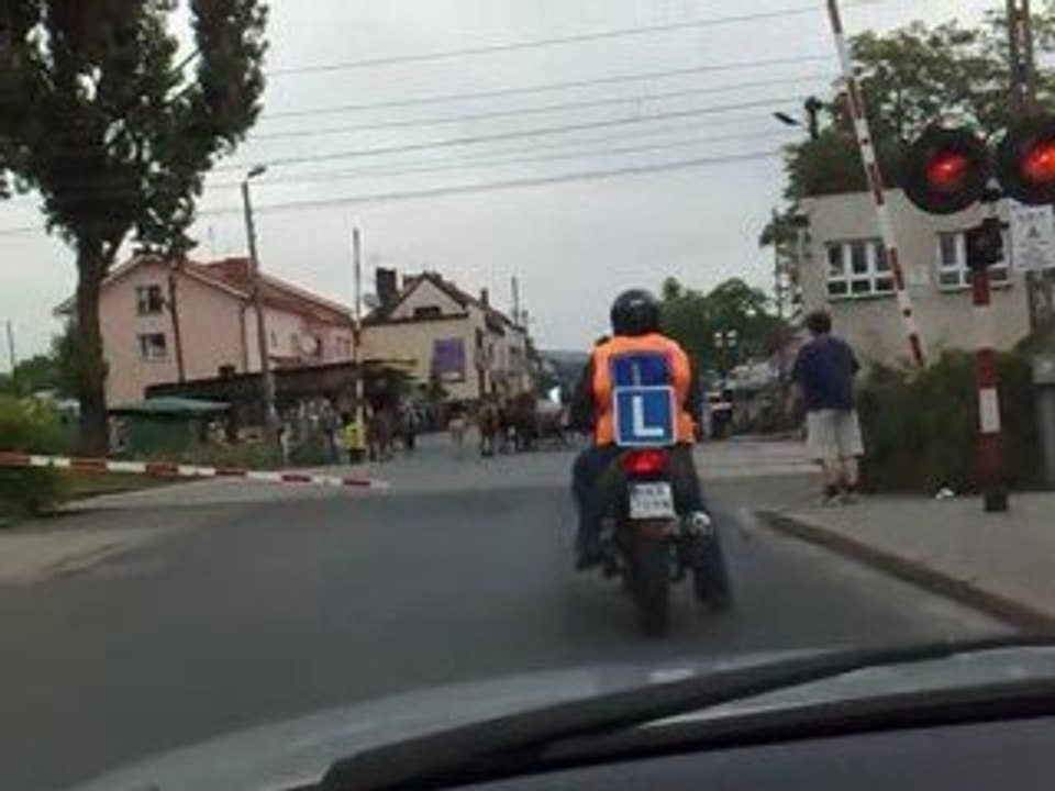 Konie na drodze