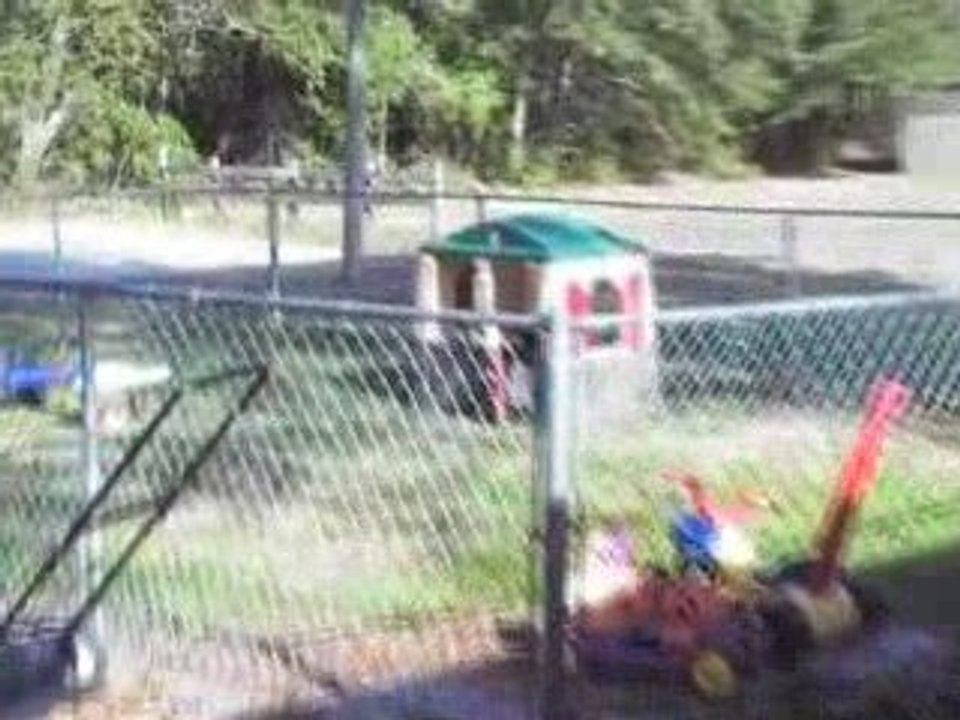 Logan At 3 Years Old