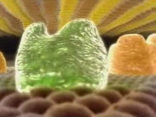 Penicillin Binding Protein Animation2