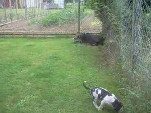 29 JOURS 1er JOUR en extérieur (1) 1 sortie