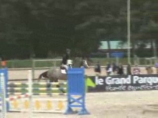 19_05_09_Wanted Z 6ans B Fontainebleau