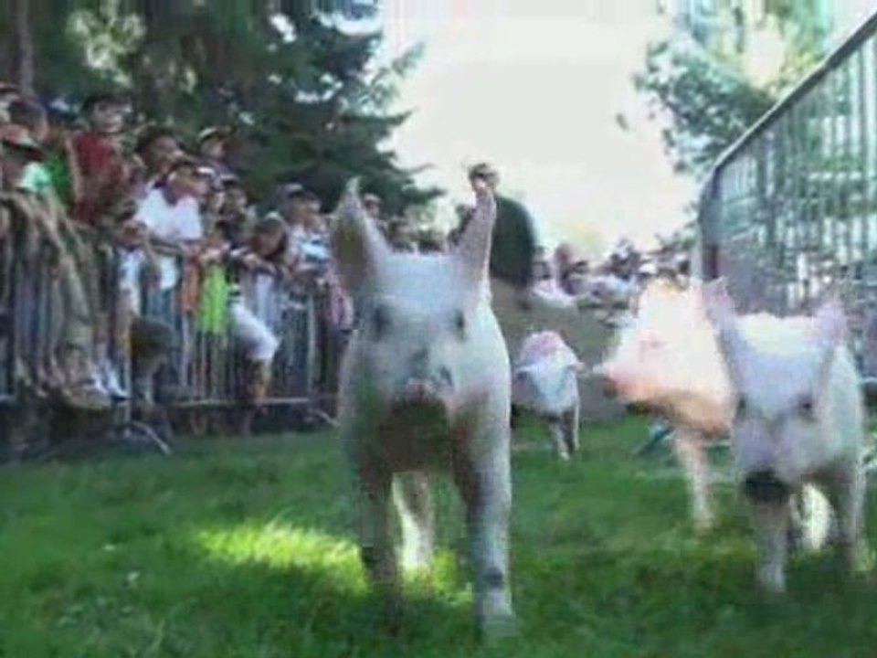 Cropettes en Campagne 2009