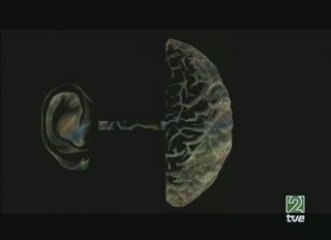 Mozart: Efectos sobre el cerebro