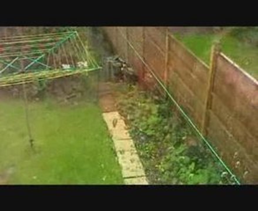thundery rain