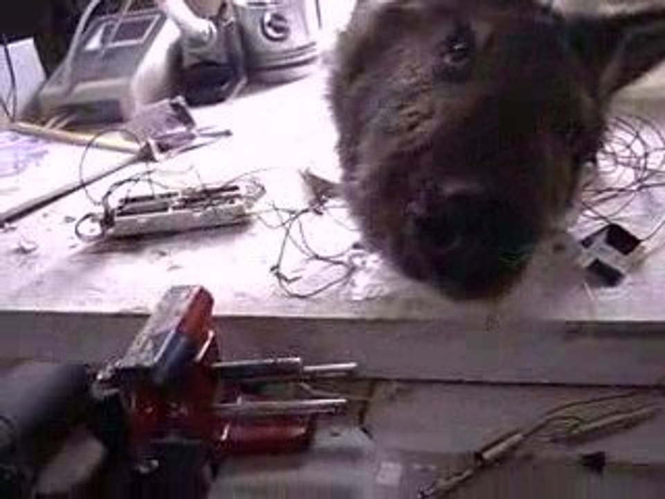 Atelier Jardin d'eden Lift