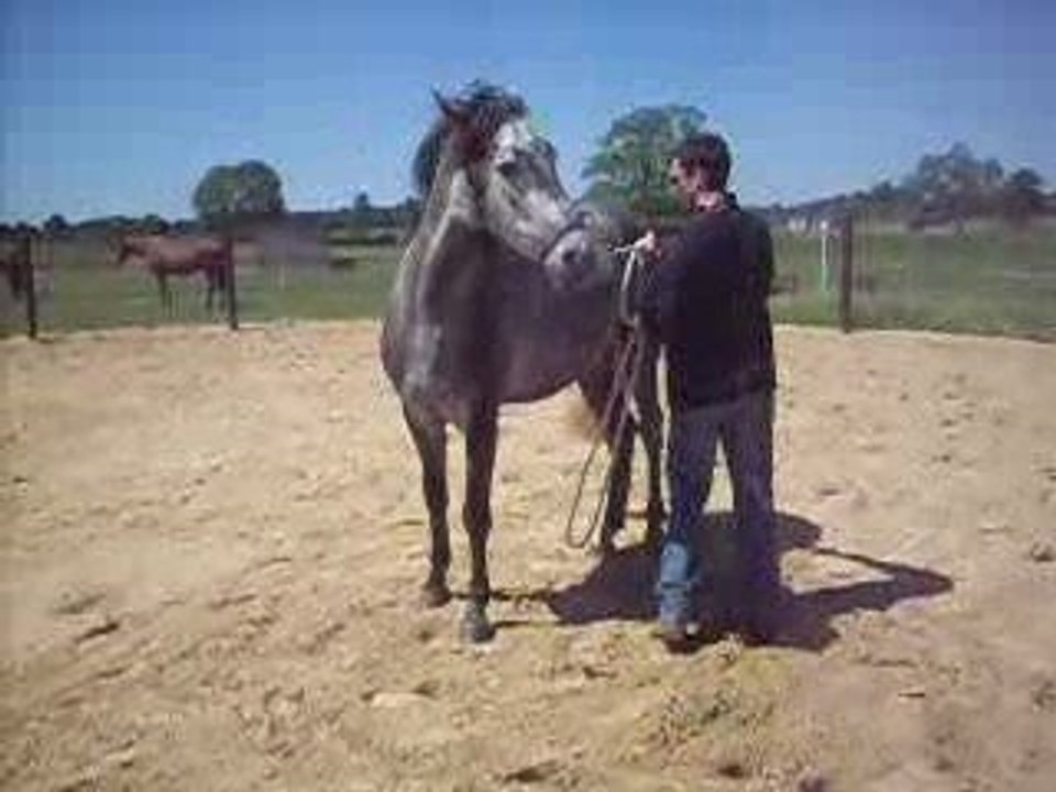 début de mobilisation des hanches