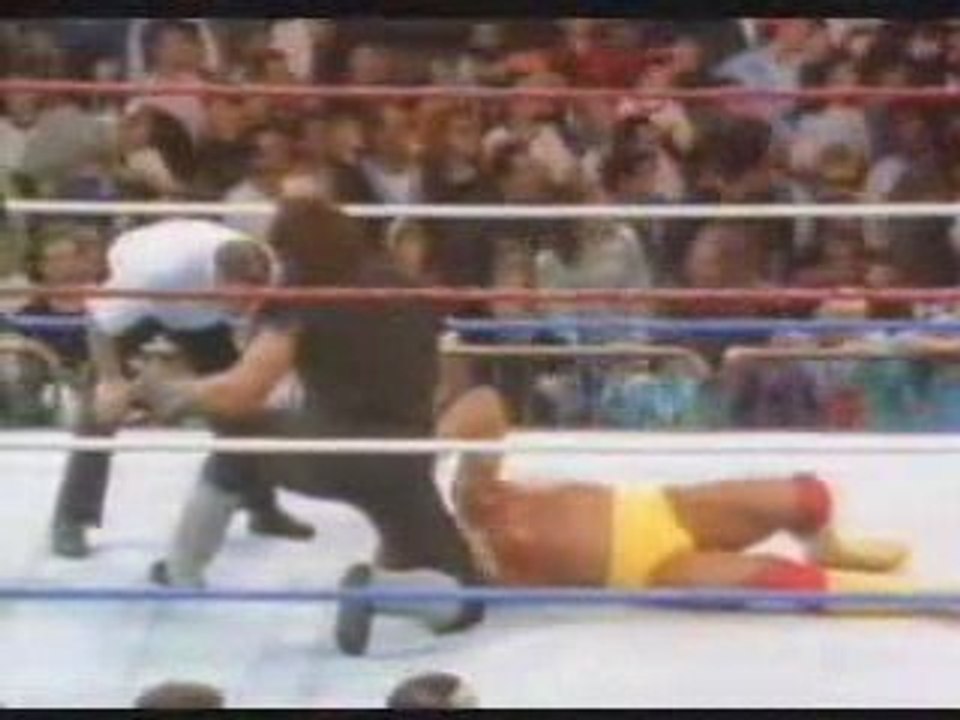 Undertaker vs hulk hogan survivor series -