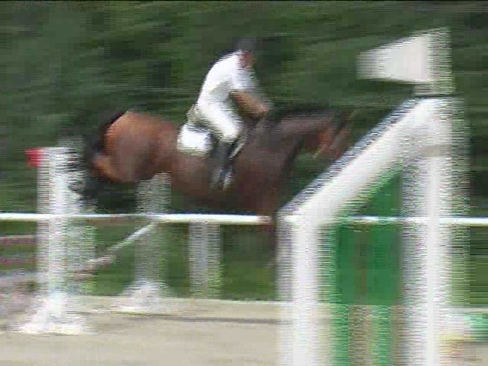 Walter Hämmerle, Springreiten, Laab im Walde (2008-093)