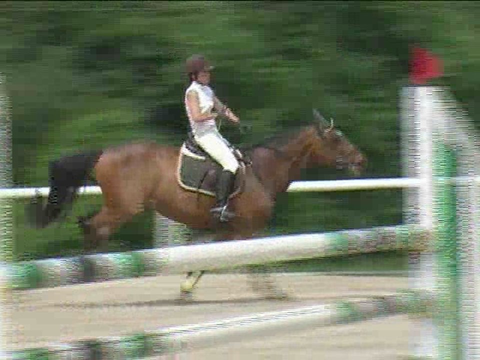 Martina Fuxberger, Springreiten, Laab im Walde (2008-096)