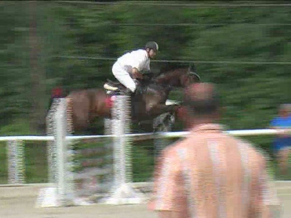 Michael Smejda, Springreiten, Laab im Walde (2008-097)