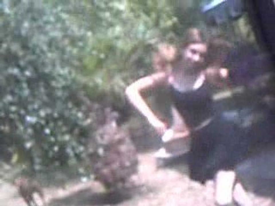 Chtit timbre poste bisous vitre08 024