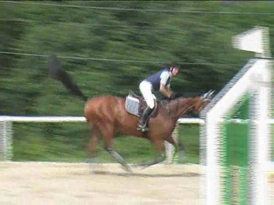 Daniela Partmann, Springreiten, Laab im Walde (2008-099)