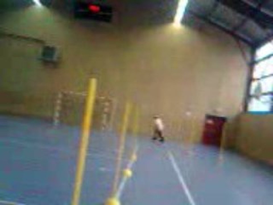 limoges roller skating