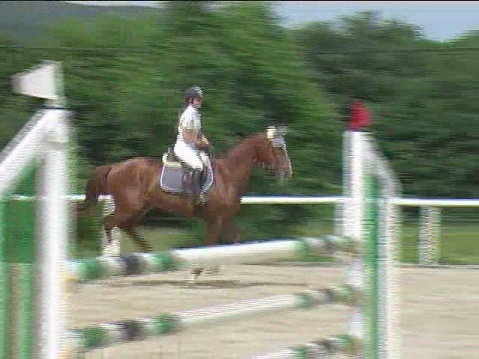 Isabelle Gebath-Joannidis, Springreiten, Laab (2008-101)