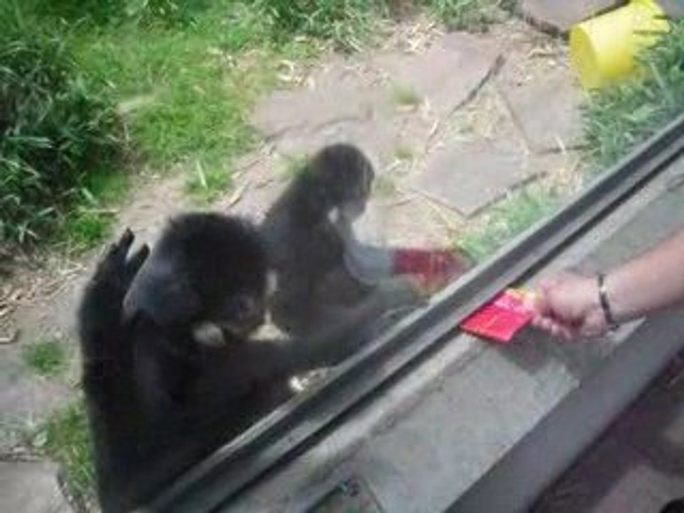 Zoo de mulhouse