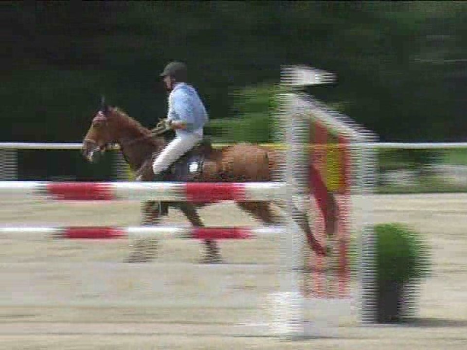 Andreas Sirninger, Springreiten, Laab im Walde (2008-103)