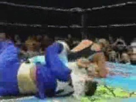 WWE,WCW & ECW - The Best Finishers