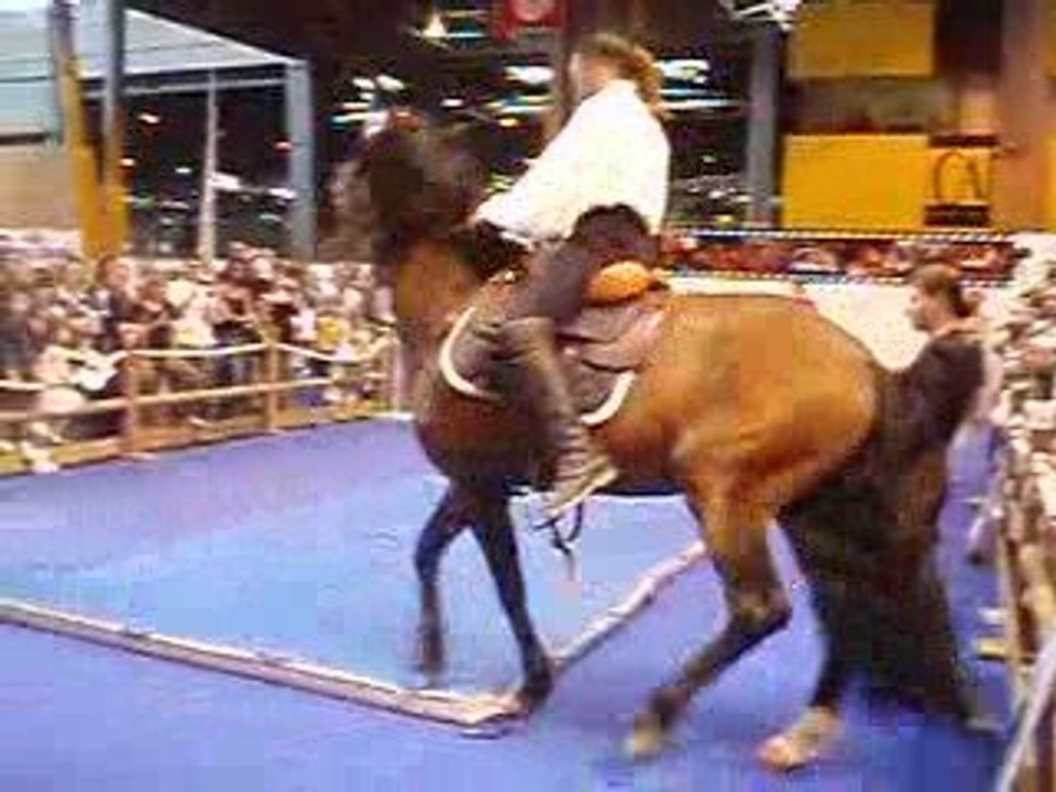 expochiens2009