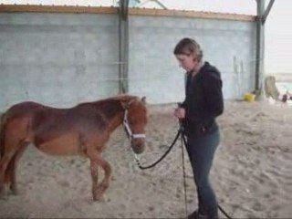 Travail a pied rustine