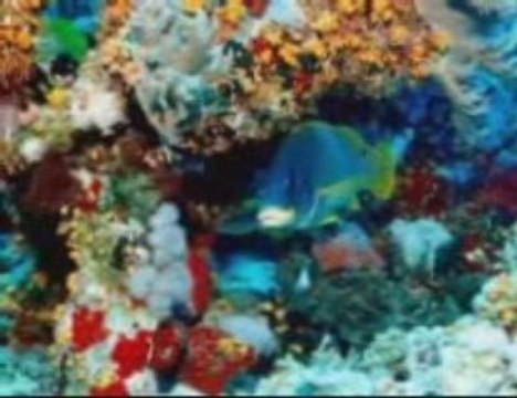 Pod wodą .. Muz.Preisner