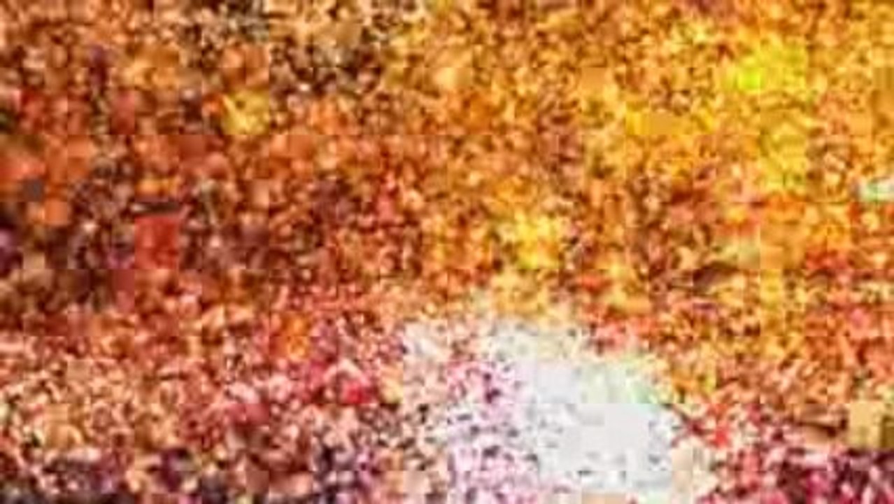 FxFactory FCP Plugin - idustrial revolution Particle Metrix