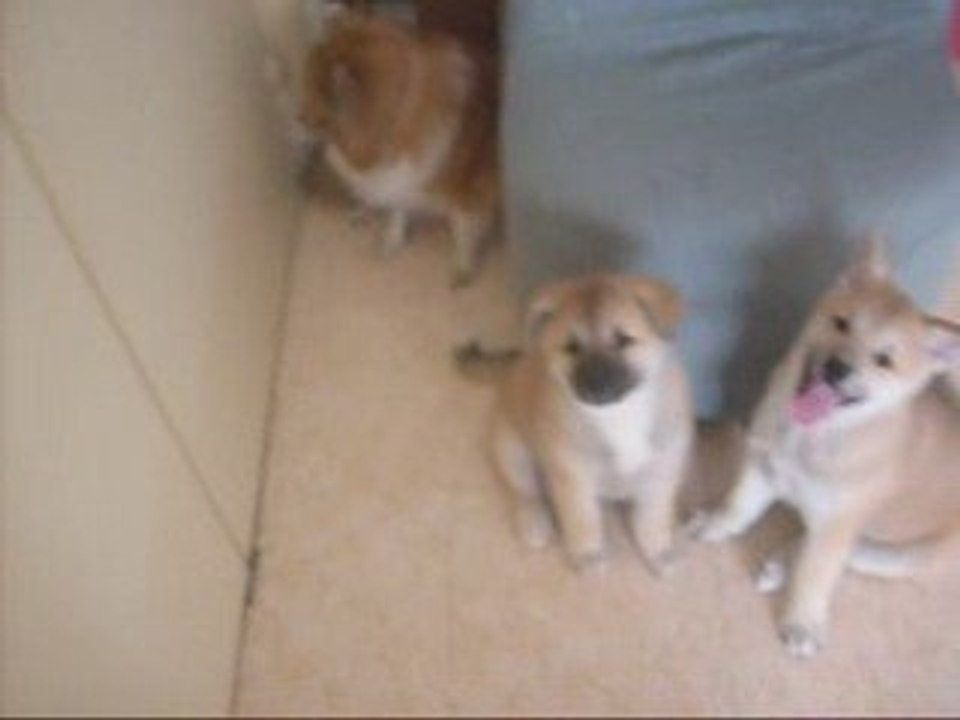 Mes petites soeurs et moi le 14 Juin 2009