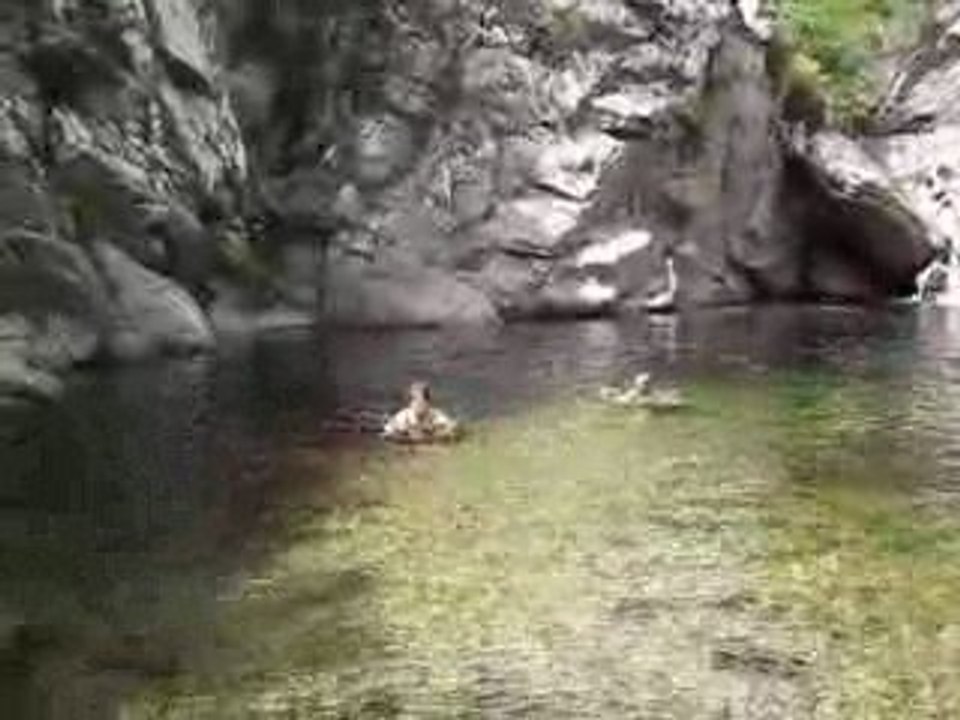 BaignadeGorgesD'Heric