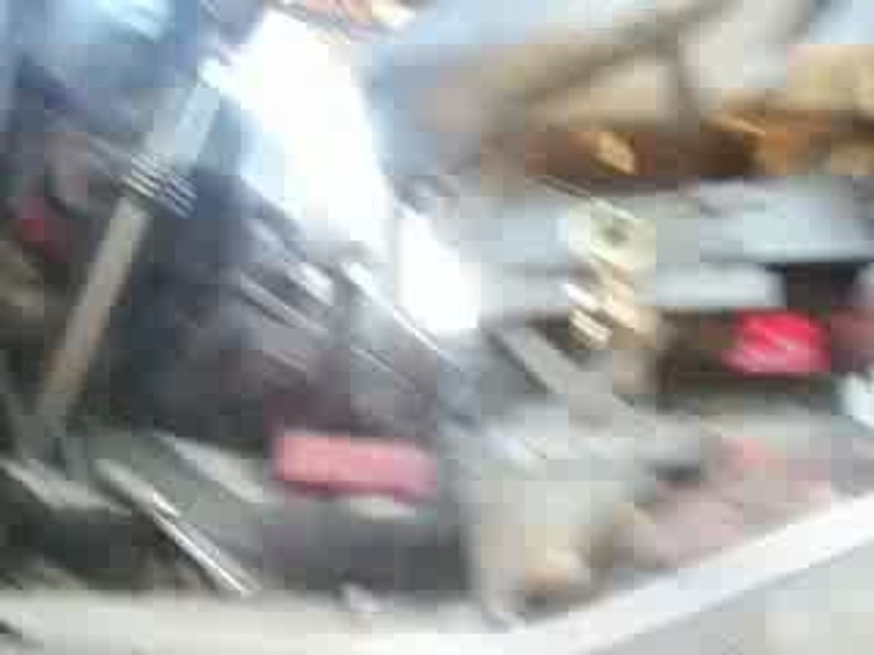 locomotion en féte 2009