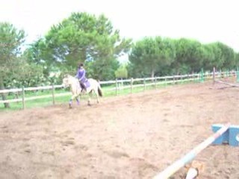 Moi et marin au galop 2