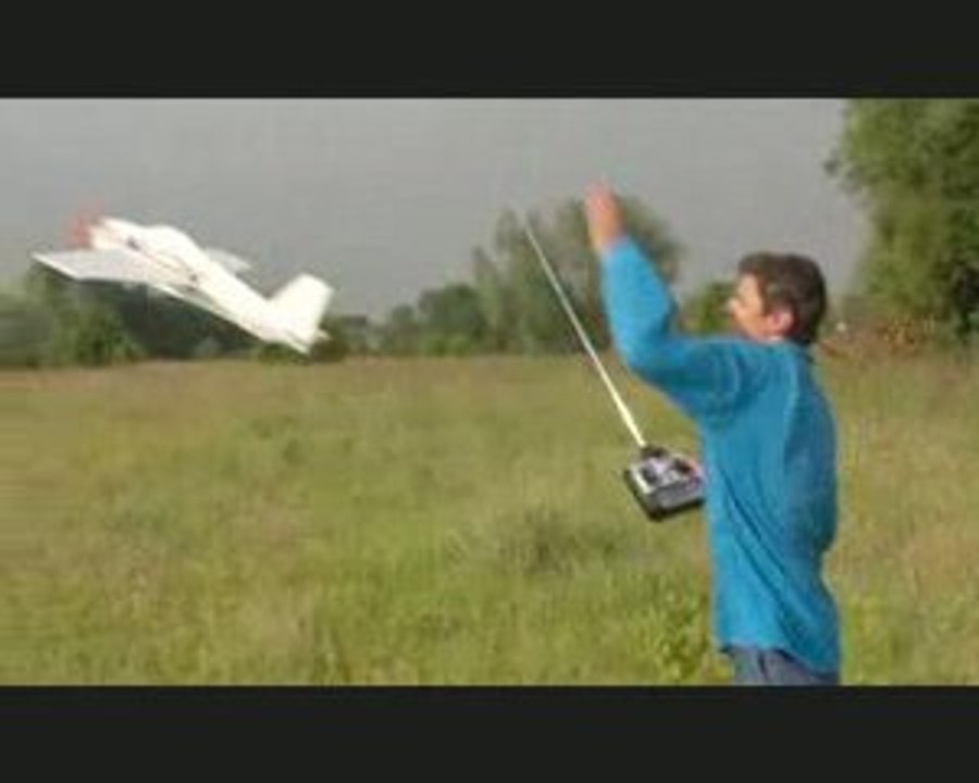 petit vol du silwas