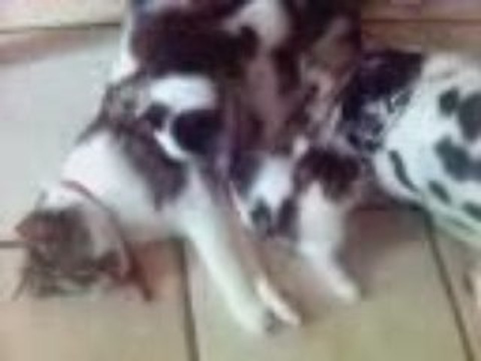 Clip(97)_NEW
