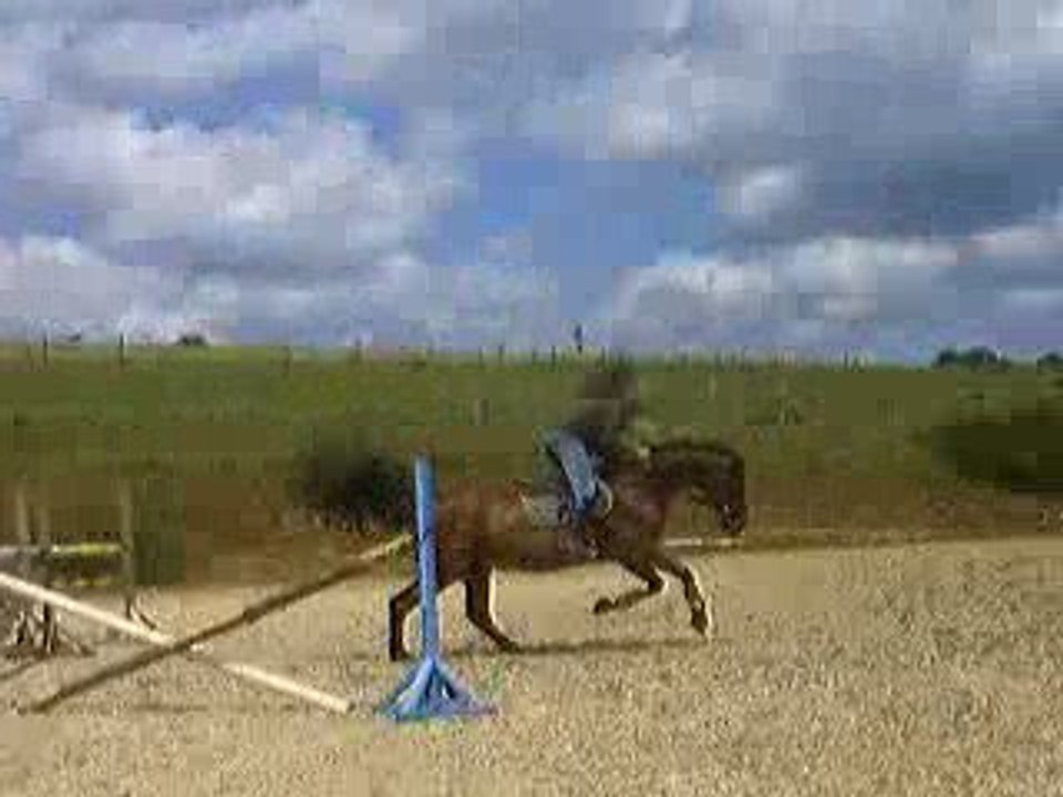 kimba