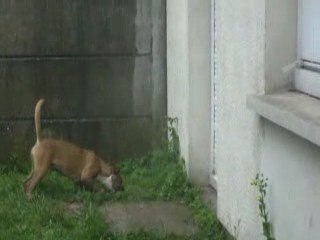 danz avec l'eau de pluie