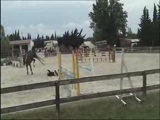 Concours BAGES 14/06/09