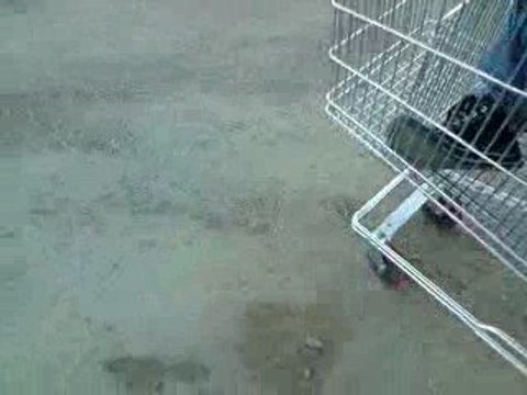 Délire de la journée mdr