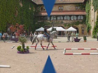 présentation appaloosa