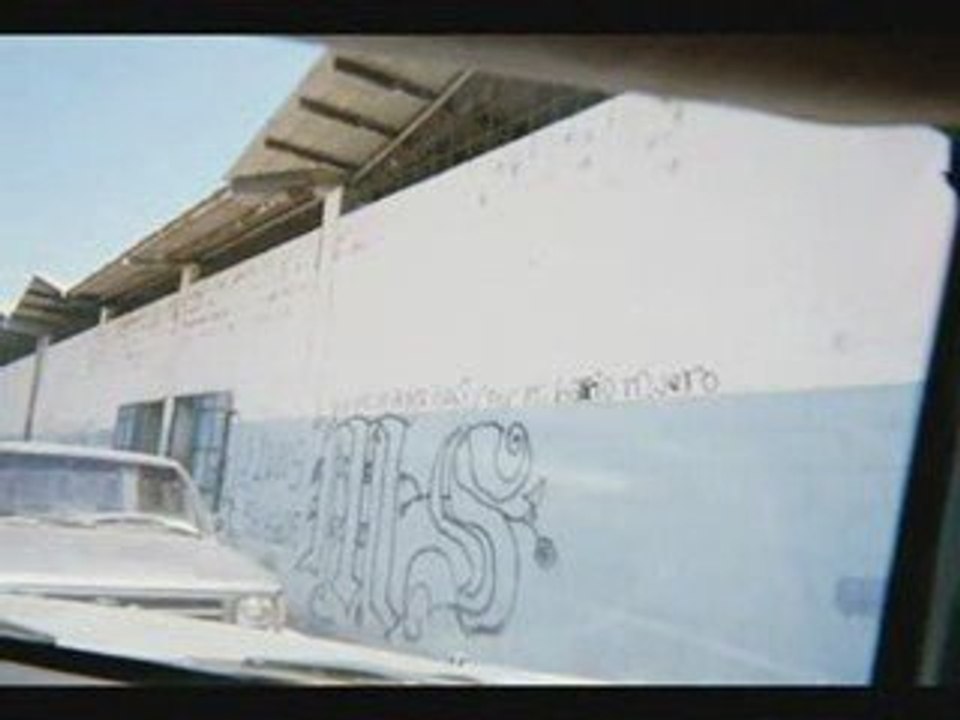 MS 13