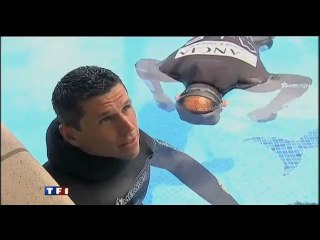 IWC : The Insult World Cup