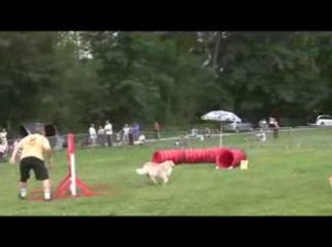 Salsa Jumping Agility Chambery 14/06/2009