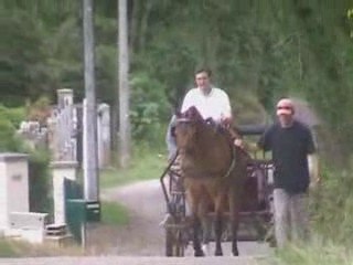 Noisette première leçon d'attelage