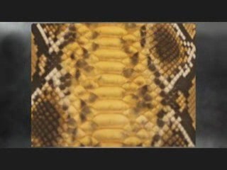 Python Skin and Finishes