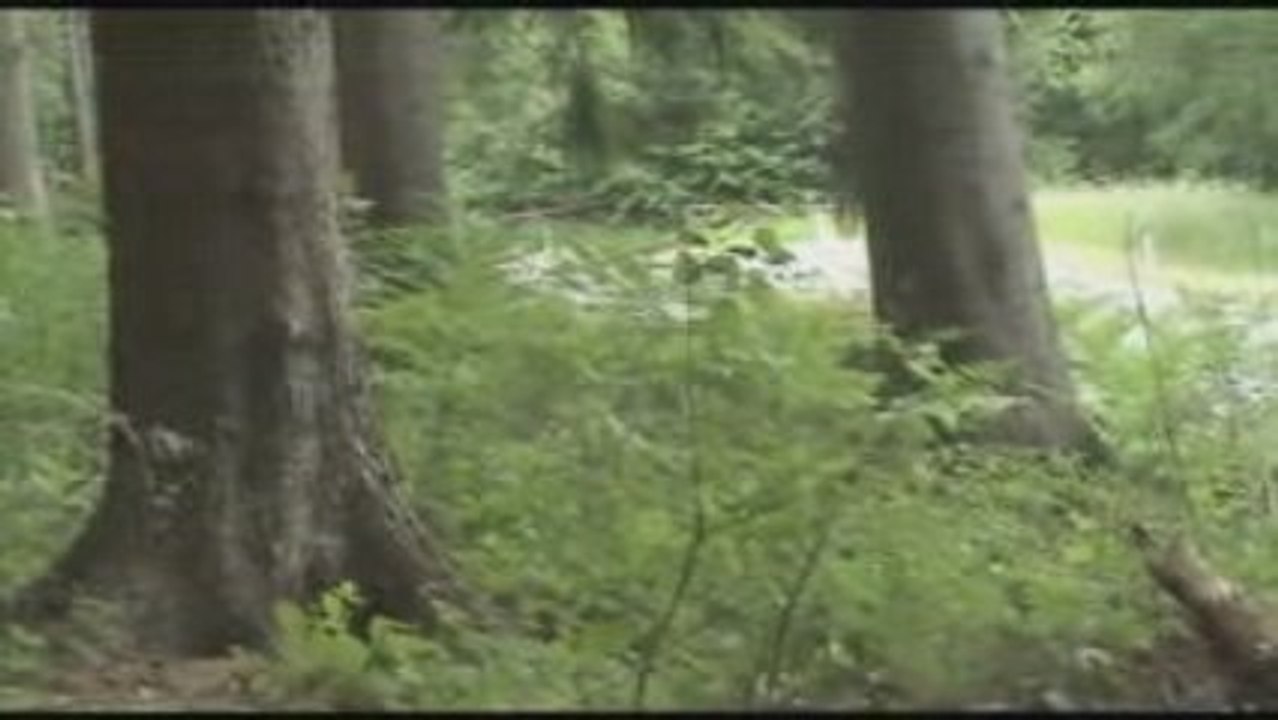 Course de cote de Felenne la D4