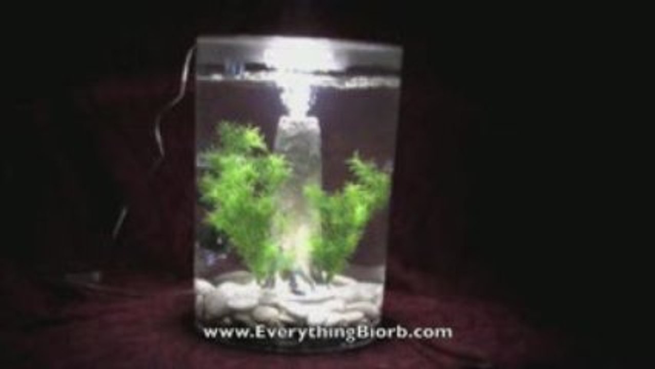 Biorb Intelligent LED Light in Action