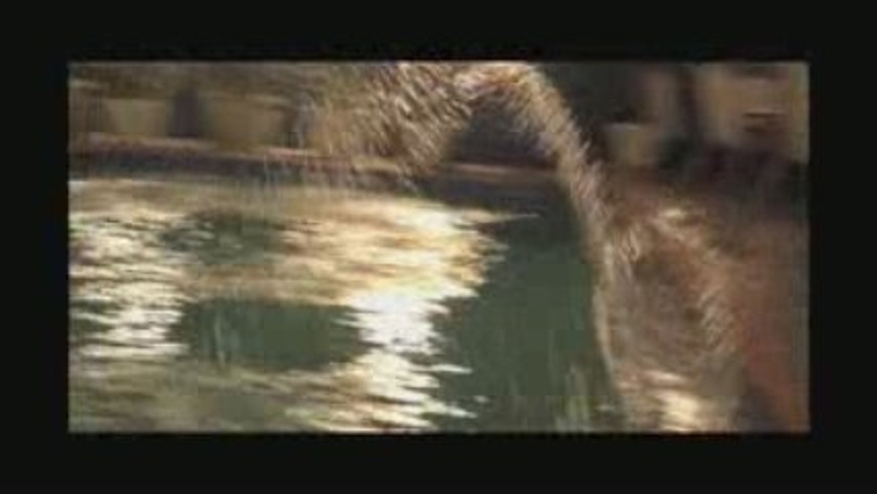 J Pepe's Tex Mex on Greenville, Dallas, TX